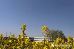 疫情已經(jīng)得到控制歡迎寧夏現(xiàn)場合伙人來訪鋁塑煉油設備